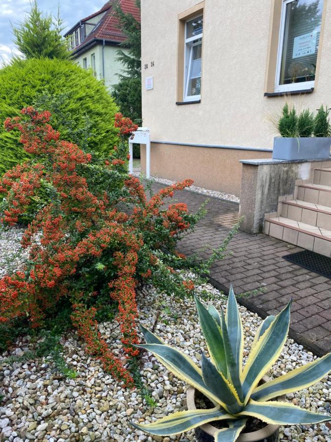 Simply Good Appartment Borna Buitenkant foto